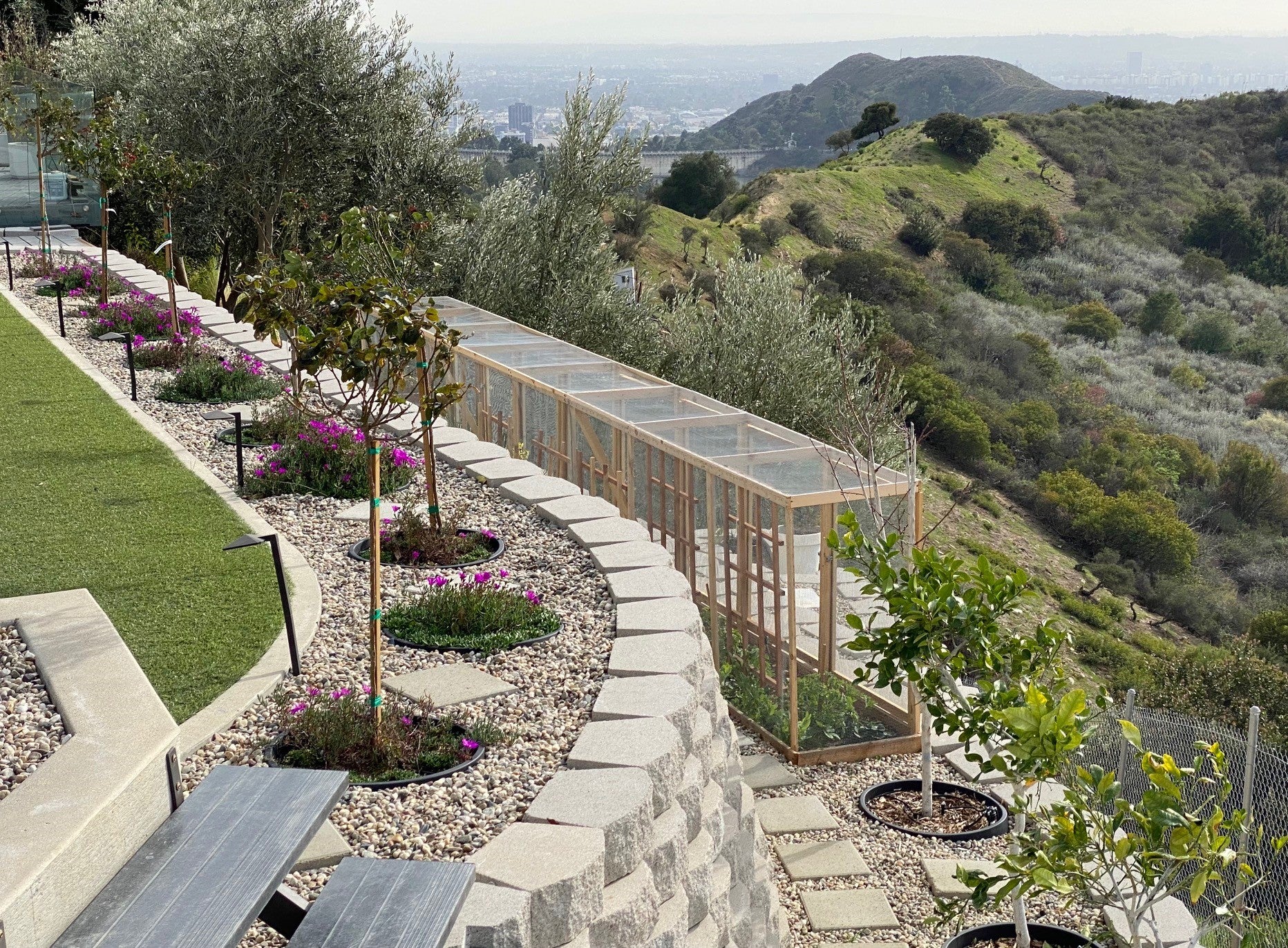 12 Pack of 24 in Planting Rings. Edging and Water Retention. Protects Trees and Separates Rock, Mulch and Grass