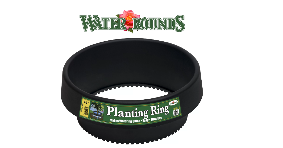 The Benefits of Using Watering Rings for Trees and Plants