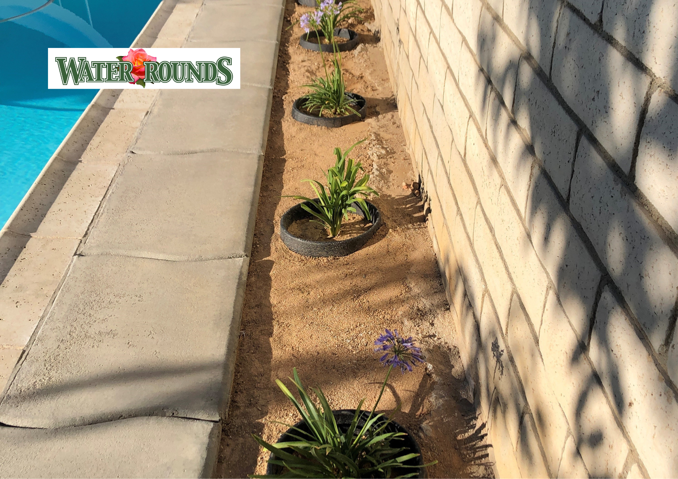 Master Your Garden: Best Practices for Using WaterRounds Planting Rings