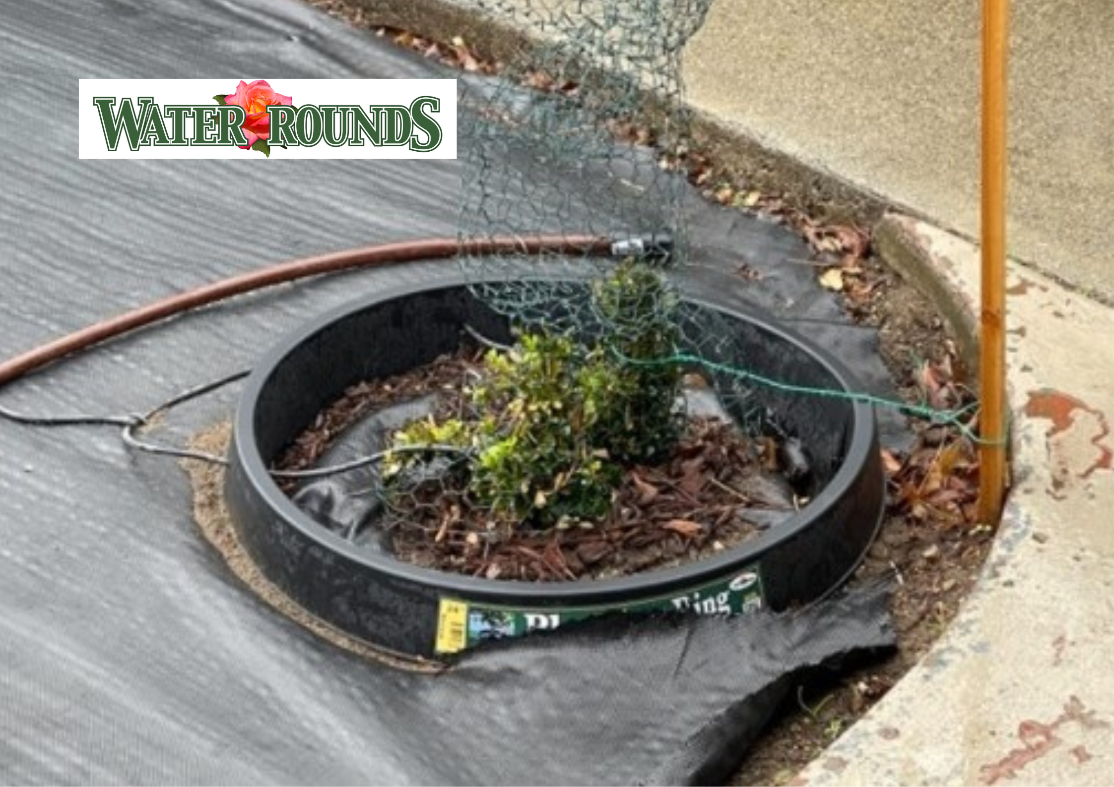 Unlock Healthier Plants with WaterRounds Planting Rings