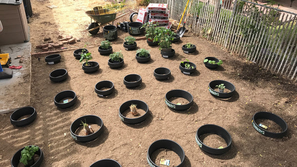 WaterRounds - 16 in Planting Rings, Edging and Water Retention (Free Shipping)
