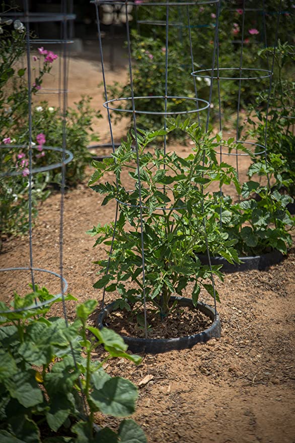 3 Pack of 15 inch VegSTABLE Garden - Plant Rings