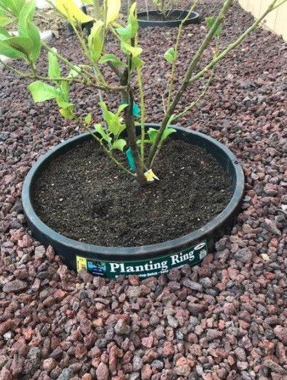 6 Pack of 24 in Planting Rings. Edging and Water Retention. Protects Trees and Separates Rock, Mulch and Grass