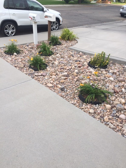 6 Pack of 20 in Planting Rings. Edging and Water Retention. Protects Roses and Shrubs and Separates Rock, Mulch and Grass