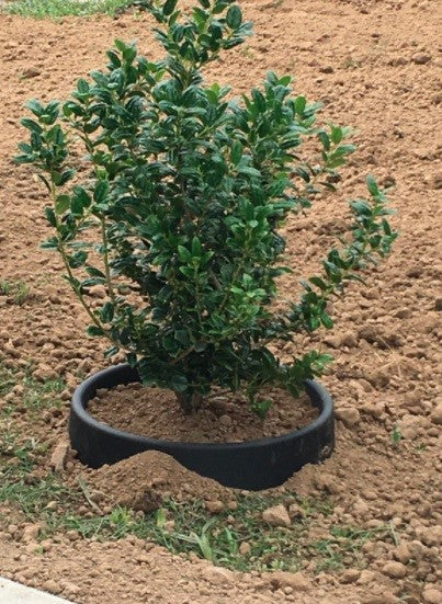 6 Pack of 16 in Planting Rings for Watering Plants and Vegetables, Edging and Water Retention That Protects and Separates Rock and Mulch